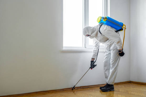 Best Pest Exclusion Services  in Freeland, MI